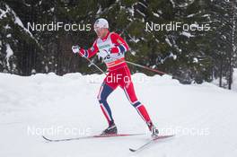 01.02.2014, Toblach, Italy (ITA): Paal Golberg (NOR) - FIS world cup cross-country, 15km men, Toblach (ITA). www.nordicfocus.com. © Manzoni/NordicFocus. Every downloaded picture is fee-liable.