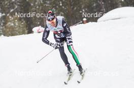 01.02.2014, Toblach, Italy (ITA): Roland Clara (ITA) - FIS world cup cross-country, 15km men, Toblach (ITA). www.nordicfocus.com. © Manzoni/NordicFocus. Every downloaded picture is fee-liable.