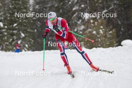 01.02.2014, Toblach, Italy (ITA): Niklas Dyrhaug (NOR) - FIS world cup cross-country, 15km men, Toblach (ITA). www.nordicfocus.com. © Manzoni/NordicFocus. Every downloaded picture is fee-liable.