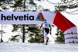 08.03.2014, Oslo, Norway (NOR): a Helvetia arch in the forrest - FIS world cup cross-country, mass men, Oslo (NOR). www.nordicfocus.com. © Laiho/NordicFocus. Every downloaded picture is fee-liable.