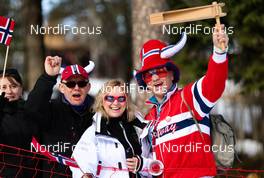 08.03.2014, Oslo, Norway (NOR): fans - FIS world cup cross-country, mass men, Oslo (NOR). www.nordicfocus.com. © Laiho/NordicFocus. Every downloaded picture is fee-liable.