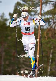14.03.2014, Falun, Sweden (SWE): Teodor Peterson (SWE) - FIS world cup cross-country, individual sprint, Falun (SWE). www.nordicfocus.com. © Felgenhauer/NordicFocus. Every downloaded picture is fee-liable.