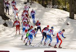 23.02.2014, Sochi, Russia (RUS): Lukas Bauer (CZE), Fischer, Leki, Alpina, Rottefella, Swix, Toko followed by Iivo Niskanen (FIN), Rossignol, KV+, Rottefella, Craft, Alexander Legkov (RUS), Rossignol, Swix, Rottefella, Adidas and Martti Jylhae (FIN), Salomon, Swix, Craft - XXII. Olympic Winter Games Sochi 2014, cross-country, 50km men, Sochi (RUS). www.nordicfocus.com. © NordicFocus. Every downloaded picture is fee-liable.