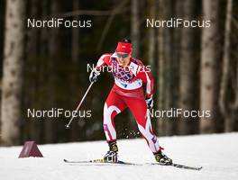 11.02.2014, Sochi, Russia (RUS): Sylwia Jaskowiec (POL) - XXII. Olympic Winter Games Sochi 2014, cross-country, individual sprint, Sochi (RUS). www.nordicfocus.com. © NordicFocus. Every downloaded picture is fee-liable.
