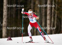 11.02.2014, Sochi, Russia (RUS): Astrid Uhrenholdt Jacobsen (NOR) - XXII. Olympic Winter Games Sochi 2014, cross-country, individual sprint, Sochi (RUS). www.nordicfocus.com. © NordicFocus. Every downloaded picture is fee-liable.