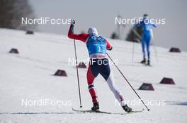 16.02.2014, Sochi, Russia (RUS): Petter Northug (NOR) - XXII. Olympic Winter Games Sochi 2014, cross-country, 4x10km men, Sochi (RUS). www.nordicfocus.com. © NordicFocus. Every downloaded picture is fee-liable.