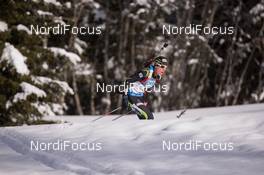 22.01.2015, Antholz, Italy (ITA): Quentin Fillon Maillet (FRA) - IBU world cup biathlon, sprint men, Antholz (ITA). www.nordicfocus.com. © Manzoni/NordicFocus. Every downloaded picture is fee-liable.