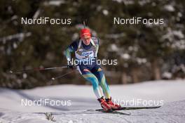 22.01.2015, Antholz, Italy (ITA): Serhiy Semenov (UKR) - IBU world cup biathlon, sprint men, Antholz (ITA). www.nordicfocus.com. © Manzoni/NordicFocus. Every downloaded picture is fee-liable.
