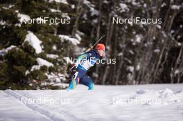 23.01.2015, Antholz, Italy (ITA): Juliya Dzhyma (UKR) - IBU world cup biathlon, sprint women, Antholz (ITA). www.nordicfocus.com. © Manzoni/NordicFocus. Every downloaded picture is fee-liable.