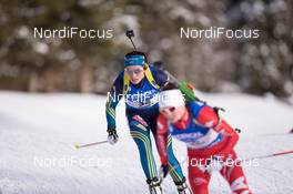 23.01.2015, Antholz, Italy (ITA): Elisabeth Hoegberg (SWE) - IBU world cup biathlon, sprint women, Antholz (ITA). www.nordicfocus.com. © Manzoni/NordicFocus. Every downloaded picture is fee-liable.