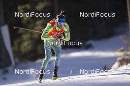 19.12.2015, Pokljuka, Slovenia (SLO): Fredrik Lindstroem (SWE) -  IBU world cup biathlon, pursuit men, Pokljuka (SLO). www.nordicfocus.com. © Manzoni/NordicFocus. Every downloaded picture is fee-liable.
