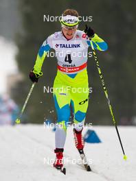 17.01.2015, Otepaeae, Estland (EST): Alenka Cebasek (SLO), Fischer, One Way, Alpina, Rottefella  - FIS world cup cross-country, individual sprint, Otepaeae (EST). www.nordicfocus.com. © Laiho/NordicFocus. Every downloaded picture is fee-liable.