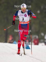 17.01.2015, Otepaeae, Estland (EST): Eirik Brandsdal (NOR), Fischer, Alpina, Rottefella - FIS world cup cross-country, individual sprint, Otepaeae (EST). www.nordicfocus.com. © Laiho/NordicFocus. Every downloaded picture is fee-liable.