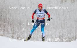 24.01.2015, Rybinsk, Russia (RUS): Andrey Parfenov (RUS), Fischer, Swix, Alpina, Rottefella, Adidas - FIS world cup cross-country, individual sprint, Rybinsk (RUS). www.nordicfocus.com. © Laiho/NordicFocus. Every downloaded picture is fee-liable.