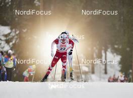 28.11.2015, Ruka, Finland (FIN): Alex Harvey (CAN) - FIS world cup cross-country, 10km men, Ruka (FIN). www.nordicfocus.com. © Felgenhauer/NordicFocus. Every downloaded picture is fee-liable.