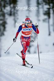 27.11.2015, Ruka, Finland (FIN): Finn Haagen Krogh (NOR) - FIS world cup cross-country, individual sprint, Ruka (FIN). www.nordicfocus.com. © Felgenhauer/NordicFocus. Every downloaded picture is fee-liable.