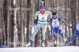 12.02.2016, Presque Isle, United States of America (USA): Ingela Andersson (SWE) -  IBU world cup biathlon, pursuit women, Presque Isle (USA). www.nordicfocus.com. © Manzoni/NordicFocus. Every downloaded picture is fee-liable.