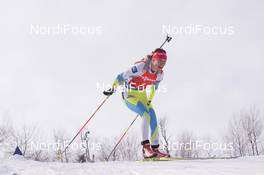 11.02.2016, Presque Isle, United States of America (USA): Teja Gregorin (SLO) -  IBU world cup biathlon, sprint women, Presque Isle (USA). www.nordicfocus.com. © Manzoni/NordicFocus. Every downloaded picture is fee-liable.