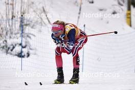 21.02.2016, Lahti, Finland (FIN): Therese Johaug (NOR) - FIS world cup cross-country, skiathlon women, Lahti (FIN). www.nordicfocus.com. © Felgenhauer/NordicFocus. Every downloaded picture is fee-liable.