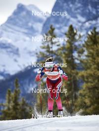 08.03.2016, Canmore, Canada (CAN): Maiken Caspersen Falla (NOR) - FIS world cup cross-country, individual sprint, Canmore (CAN). www.nordicfocus.com. © Felgenhauer/NordicFocus. Every downloaded picture is fee-liable.