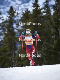08.03.2016, Canmore, Canada (CAN): Therese Johaug (NOR) - FIS world cup cross-country, individual sprint, Canmore (CAN). www.nordicfocus.com. © Felgenhauer/NordicFocus. Every downloaded picture is fee-liable.