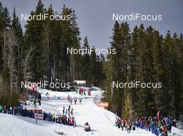 08.03.2016, Canmore, Canada (CAN): the men's semi final on the way up the hill   - FIS world cup cross-country, individual sprint, Canmore (CAN). www.nordicfocus.com. © Felgenhauer/NordicFocus. Every downloaded picture is fee-liable.