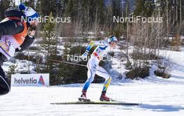 11.03.2016, Canmore, Canada (CAN): Marcus Hellner (SWE) - FIS world cup cross-country, 15km men, Canmore (CAN). www.nordicfocus.com. © Felgenhauer/NordicFocus. Every downloaded picture is fee-liable.