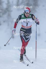 26.11.2016, Ruka, Finland (FIN): Heidi Weng (NOR) - FIS world cup cross-country, individual sprint, Ruka (FIN). www.nordicfocus.com. © Modica/NordicFocus. Every downloaded picture is fee-liable.