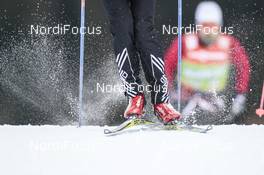 11.12.2016, Davos, Switzerland (SUI): Fischer and alpina detail   - FIS world cup cross-country, individual sprint, Davos (SUI). www.nordicfocus.com. © Modica/NordicFocus. Every downloaded picture is fee-liable.