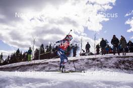 18.03.2017, Oslo, Norway (NOR): Veronika Vitkova (CZE) -  IBU world cup biathlon, pursuit women, Oslo (NOR). www.nordicfocus.com. © Manzoni/NordicFocus. Every downloaded picture is fee-liable.
