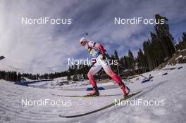 17.03.2017, Oslo, Norway (NOR): Magdalena Gwizdon (POL) -  IBU world cup biathlon, sprint women, Oslo (NOR). www.nordicfocus.com. © Manzoni/NordicFocus. Every downloaded picture is fee-liable.