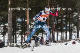 28.01.2017, Falun Sweden (SWE): Elizabeth Guiney (USA) - FIS world cup cross-country, individual sprint, Falun (SWE). www.nordicfocus.com. © Modica/NordicFocus. Every downloaded picture is fee-liable.