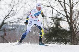 18.02.2017, Otepaeae, Estonia (EST): Karl-Johan Westberg (SWE) - FIS world cup cross-country, individual sprint, Otepaeae (EST). www.nordicfocus.com. © Modica/NordicFocus. Every downloaded picture is fee-liable.