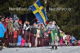 11.03.2017, Oslo, Norway (NOR): Thomas Hjalmar Westgaard (IRL) - FIS world cup cross-country, mass men, Oslo (NOR). www.nordicfocus.com. © Thibaut/NordicFocus. Every downloaded picture is fee-liable.