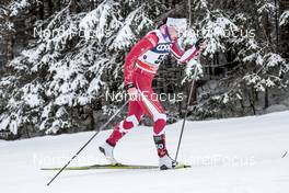 17.12.2017, Toblach, Italy (ITA): Emily Nishikawa (CAN) - FIS world cup cross-country, pursuit women, Toblach (ITA). www.nordicfocus.com. © Modica/NordicFocus. Every downloaded picture is fee-liable.