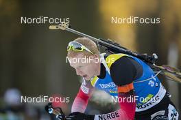 07.12.2018, Pokljuka, Slovenia (SLO): Johannes Thingnes Boe (NOR) - IBU world cup biathlon, sprint men, Pokljuka (SLO). www.nordicfocus.com. © Manzoni/NordicFocus. Every downloaded picture is fee-liable.