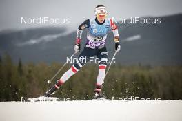 01.12.2018, Lillehammer, Norway (NOR): Heidi Weng (NOR) - FIS world cup cross-country, 10km women, Lillehammer (NOR). www.nordicfocus.com. © Modica/NordicFocus. Every downloaded picture is fee-liable.