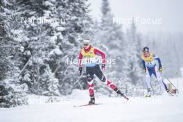 08.12.2018, Beitostolen, Norway (NOR): Cendrine Browne (CAN) - FIS world cup cross-country, 15km women, Beitostolen (NOR). www.nordicfocus.com. © Modica/NordicFocus. Every downloaded picture is fee-liable.