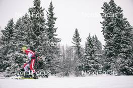 08.12.2018, Beitostolen, Norway (NOR): Max Hauke (AUT) - FIS world cup cross-country, 30km men, Beitostolen (NOR). www.nordicfocus.com. © Modica/NordicFocus. Every downloaded picture is fee-liable.