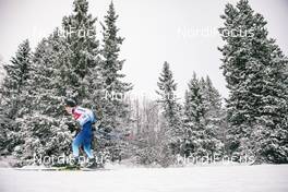 08.12.2018, Beitostolen, Norway (NOR): Dario Cologna (SUI) - FIS world cup cross-country, 30km men, Beitostolen (NOR). www.nordicfocus.com. © Modica/NordicFocus. Every downloaded picture is fee-liable.