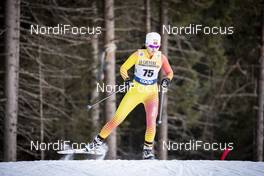 29.12.2018, Toblach, Italy (ITA): Dinigeer Yilamujiang (CHN) - FIS world cup cross-country, tour de ski, individual sprint, Toblach (ITA). www.nordicfocus.com. © Modica/NordicFocus. Every downloaded picture is fee-liable.