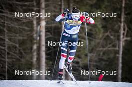 29.12.2018, Toblach, Italy (ITA): Heidi Weng (NOR) - FIS world cup cross-country, tour de ski, individual sprint, Toblach (ITA). www.nordicfocus.com. © Modica/NordicFocus. Every downloaded picture is fee-liable.