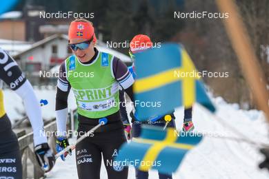 Nordic Focus Picture Agency