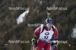 26.01.2019, Antholz, Italy (ITA): Andrejs Rastorgujevs (LAT) -  IBU world cup biathlon, pursuit men, Antholz (ITA). www.nordicfocus.com. © Manzoni/NordicFocus. Every downloaded picture is fee-liable.