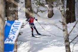 26.01.2019, Antholz, Italy (ITA): Marketa Davidova (CZE) -  IBU world cup biathlon, pursuit women, Antholz (ITA). www.nordicfocus.com. © Manzoni/NordicFocus. Every downloaded picture is fee-liable.