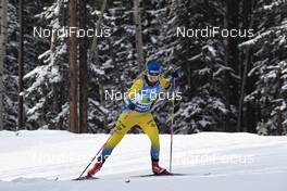 08.02.2019, Canmore, Canada (CAN): Felicia Lindqvist (SWE) -  IBU world cup biathlon, relay women, Canmore (CAN). www.nordicfocus.com. © Manzoni/NordicFocus. Every downloaded picture is fee-liable.