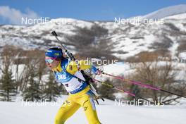 16.02.2019, Soldier Hollow, United States of America (USA): Elisabeth Hoegberg (SWE) -  IBU world cup biathlon, pursuit women, Soldier Hollow (USA). www.nordicfocus.com. © Manzoni/NordicFocus. Every downloaded picture is fee-liable.