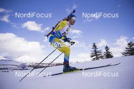 15.02.2019, Soldier Hollow, United States of America (USA): Peppe Femling (SWE) -  IBU world cup biathlon, sprint men, Soldier Hollow (USA). www.nordicfocus.com. © Manzoni/NordicFocus. Every downloaded picture is fee-liable.