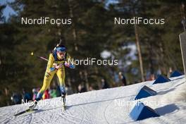 21.03.2019, Oslo, Norway (NOR): Elisabeth Hoegberg (SWE) - IBU world cup biathlon, sprint women, Oslo (NOR). www.nordicfocus.com. © Manzoni/NordicFocus. Every downloaded picture is fee-liable.