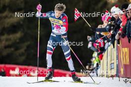 06.01.2019, Val di Fiemme, Italy (ITA): Johannes Hoesflot Klaebo (NOR) - FIS world cup cross-country, tour de ski, final climb men, Val di Fiemme (ITA). www.nordicfocus.com. © Modica/NordicFocus. Every downloaded picture is fee-liable.